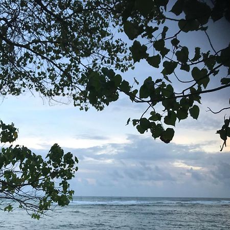 فندق Blooming Polhena المظهر الخارجي الصورة